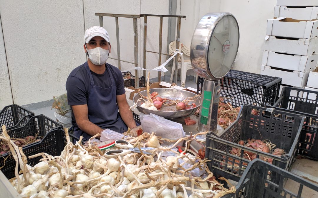 Mi sono piaciuti il lavoro e la collaborazione tra colleghi