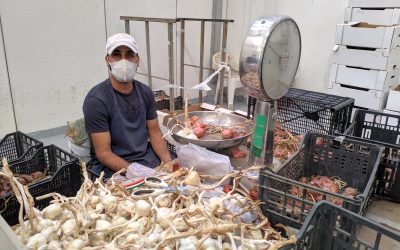 Mi sono piaciuti il lavoro e la collaborazione tra colleghi