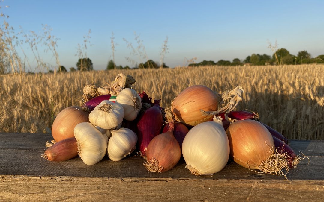 Es entsteht der Abschnitt ‚Nachrichten und Veranstaltungen‘ von Duoccio
