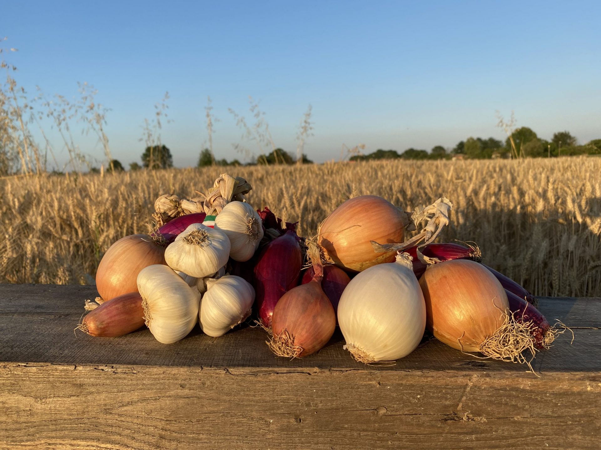 Prodotti dal campo Prodotti dal campo