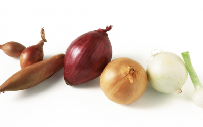 Küchenverwendung: Schalotte oder Zwiebel – Was ist besser?